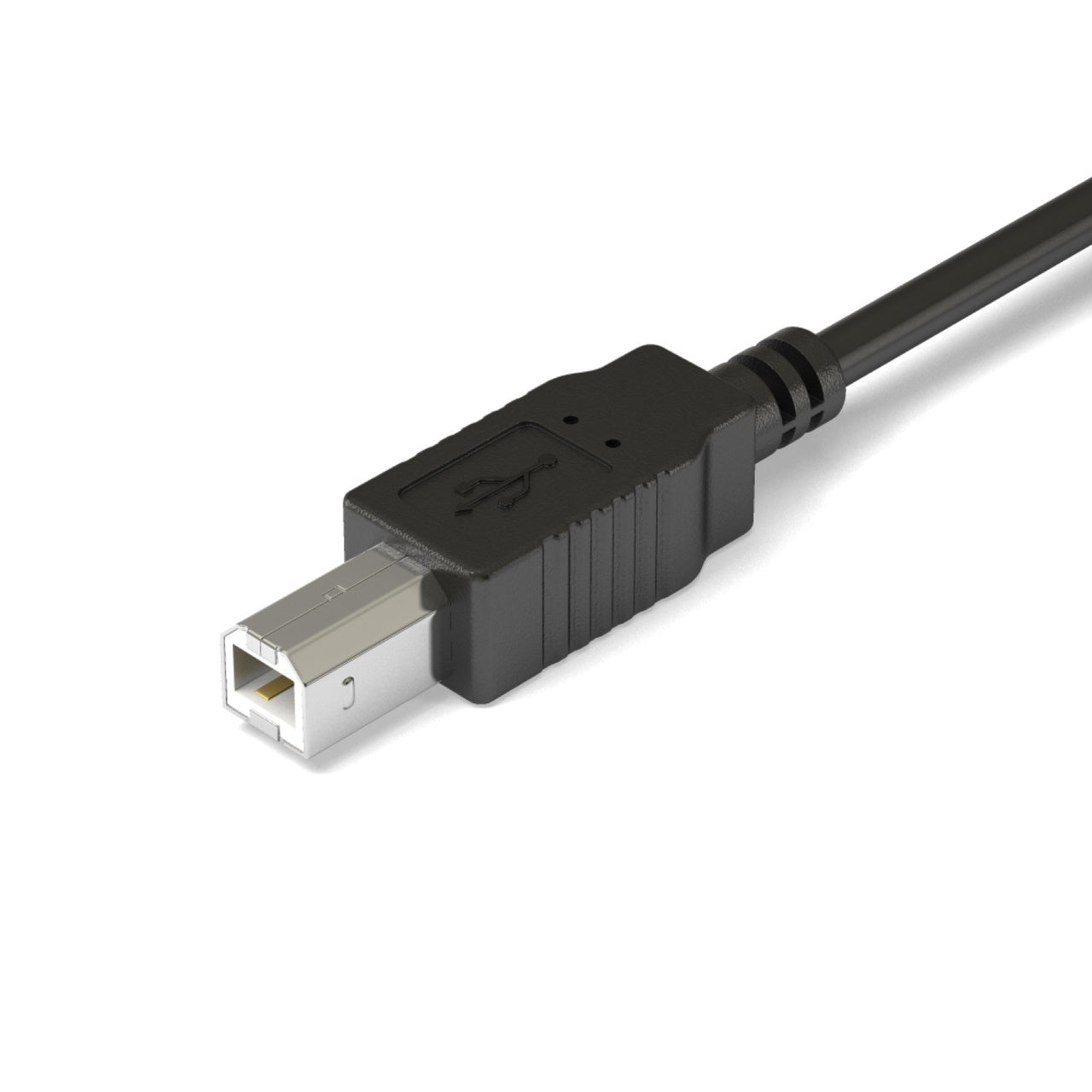 USB B Connector